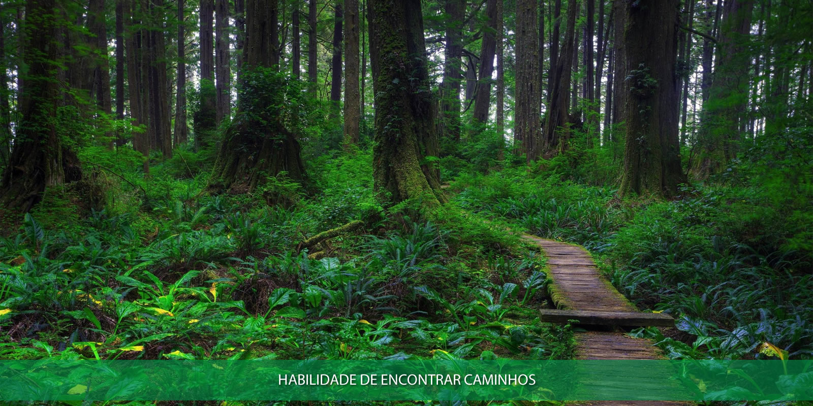 Figura 2 - CAPACIDADE DE APRENDER. SUA IMPORTÂNCIA NO AMBIENTE CORPORATIVO MODERNO